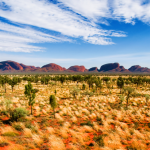 Northern Territory Landscape | Electrician in Darwin, NT